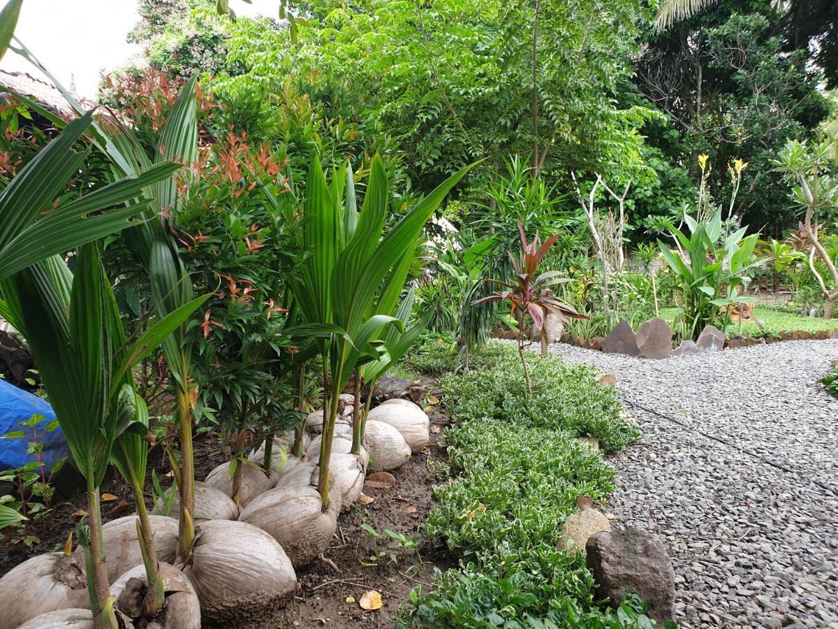Same Same Bungalows - Eco Friendly Kuta  Eksteriør billede